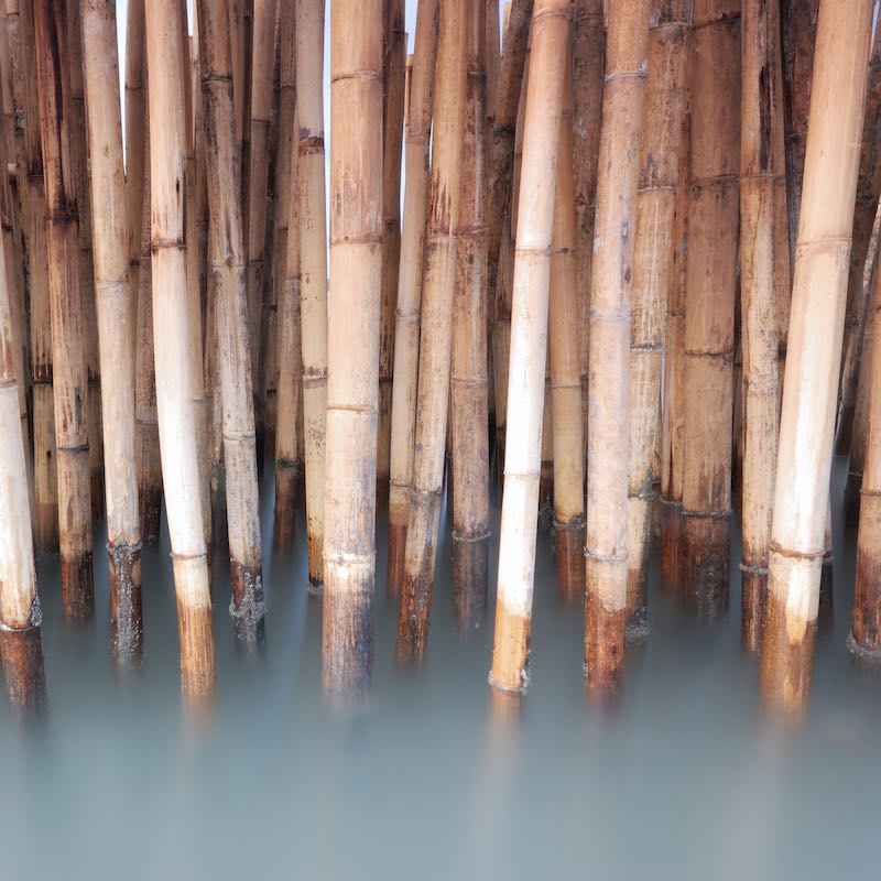 bamboo fence bamboo